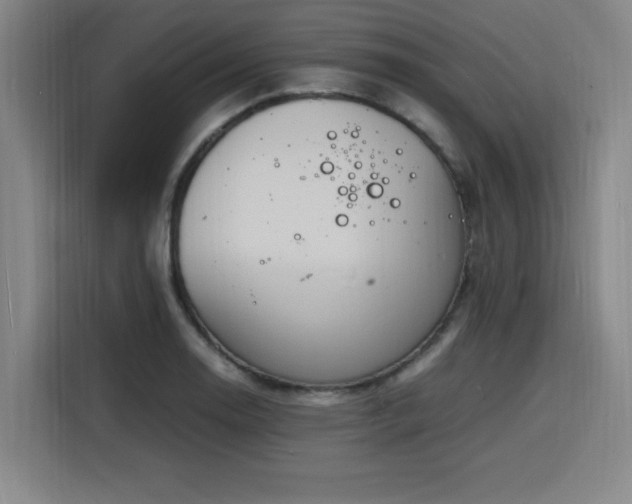 X0000116141130200911231305
