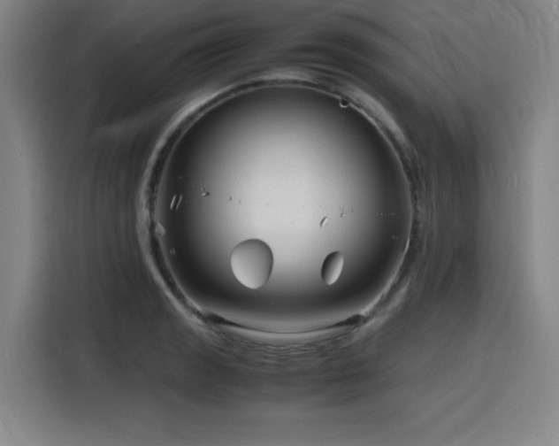 X0000116141133200911231306