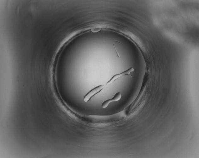 X0000116141134200911231306
