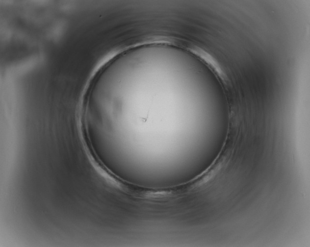 X0000116141135200911231306