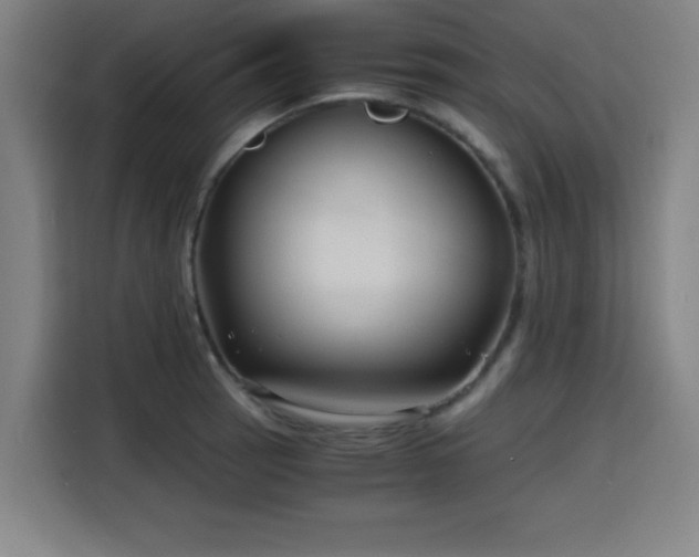 X0000116141137200911231306