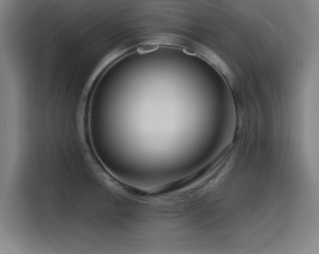 X0000116141138200911231306