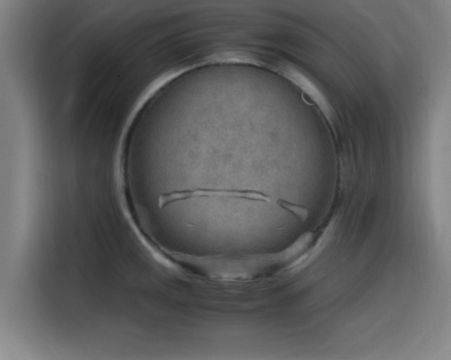 X0000116141141200911231306