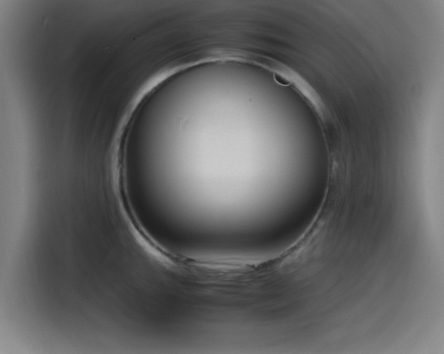 X0000116141143200911231306