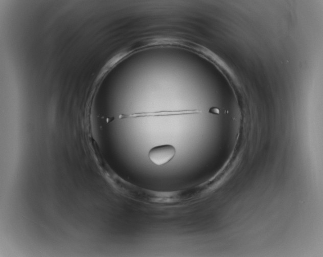 X0000116141145200911231306