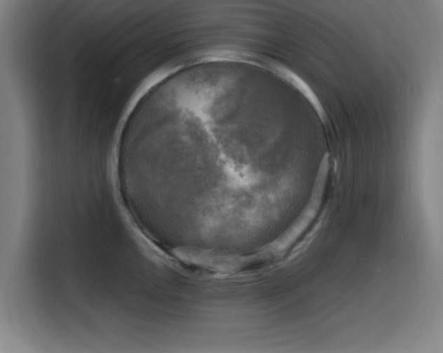 X0000116141146200911231306
