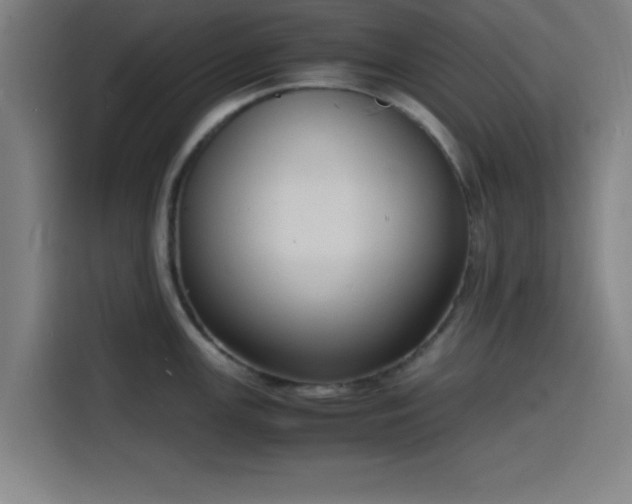 X0000116141147200911231306
