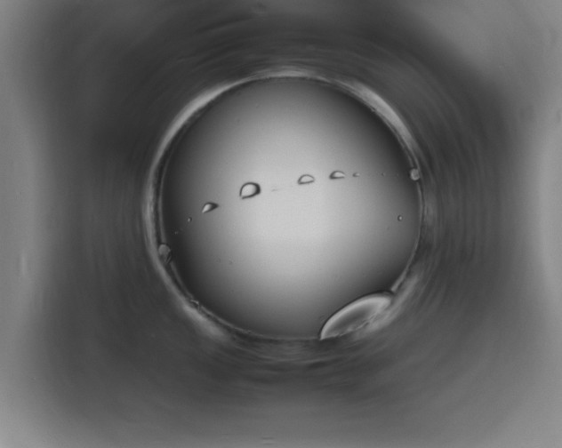 X0000116141149200911231306