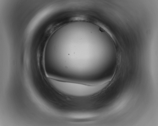 X0000116141151200911231306