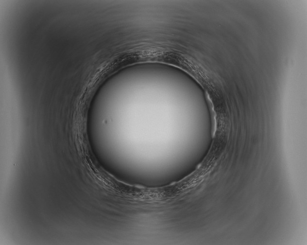 X0000116141153200911231305