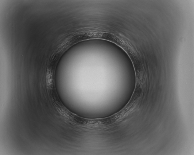 X0000116141154200911231305
