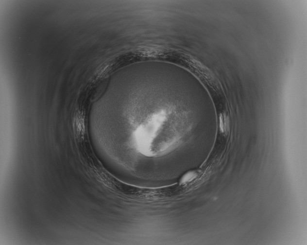 X0000116141155200911231305