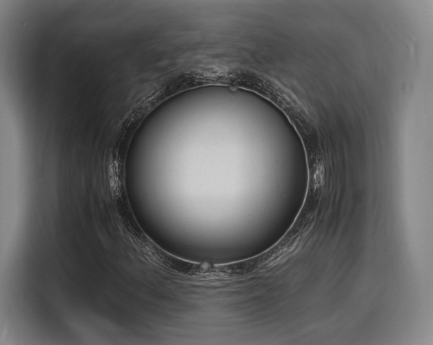 X0000116141156200911231305