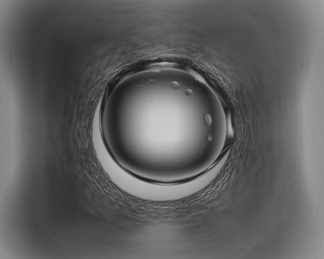 X0000116141157200911231305