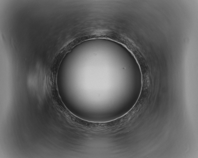 X0000116141158200911231305