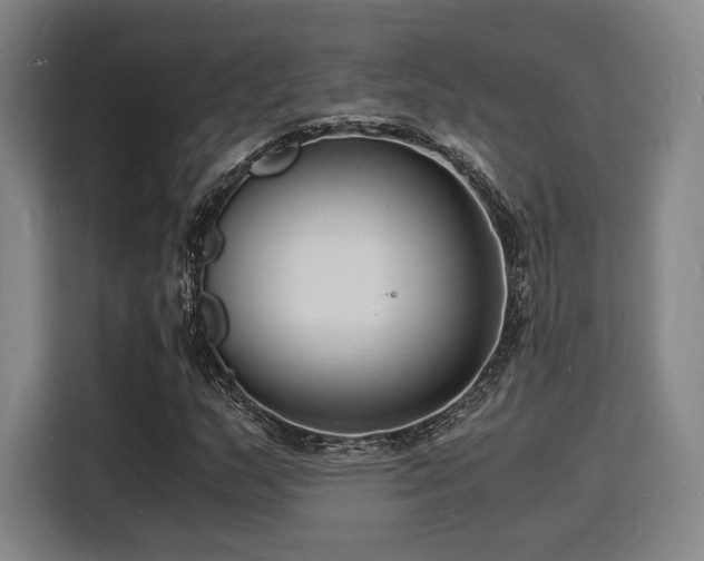 X0000116141159200911231305