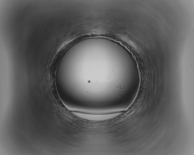X0000116141160200911231305