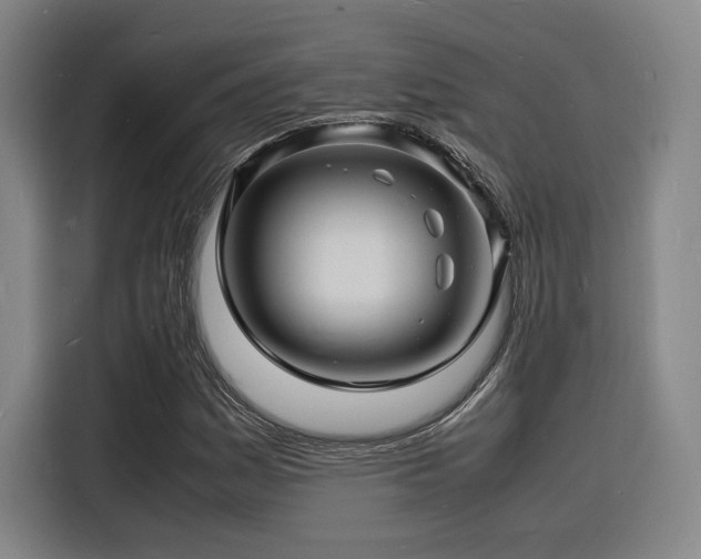 X0000116141161200911231305