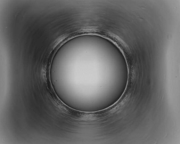 X0000116141162200911231305
