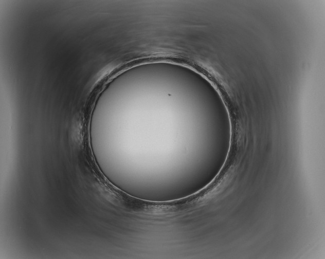 X0000116141163200911231305
