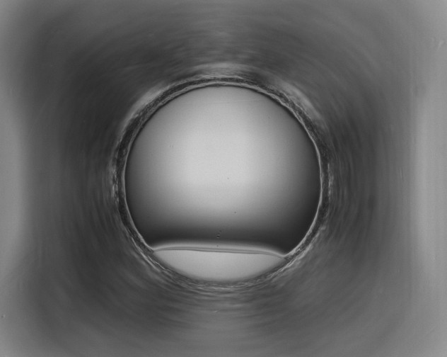 X0000116141164200911231305