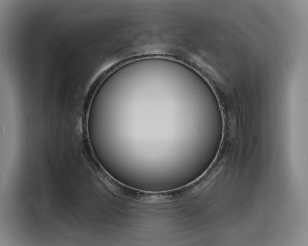 X0000116141166200911231305