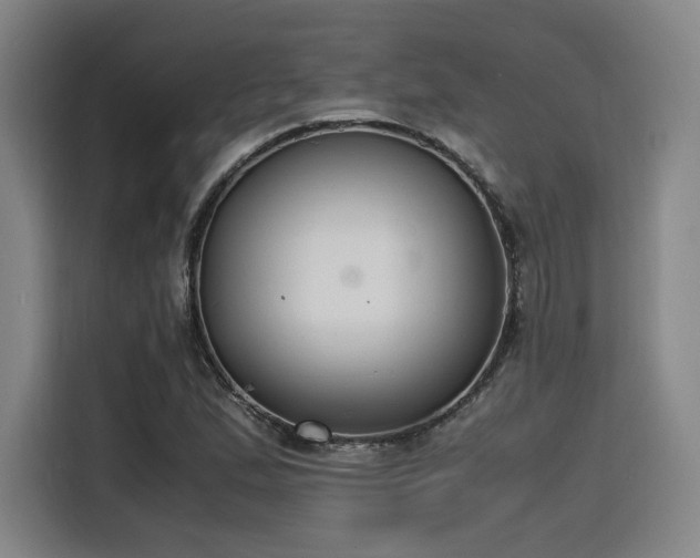 X0000116141167200911231305