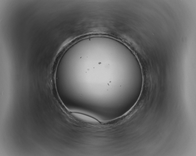 X0000116141168200911231305