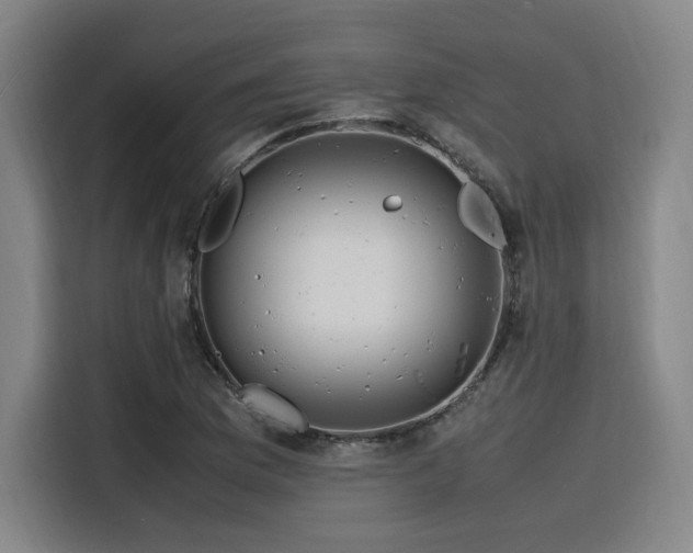 X0000116141169200911231305