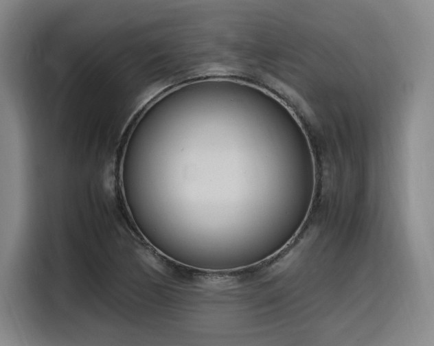 X0000116141170200911231305