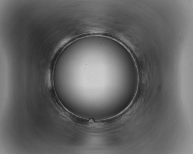 X0000116141171200911231305