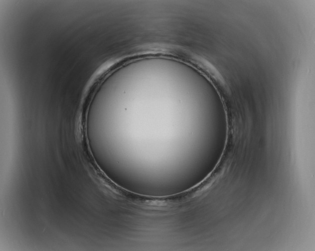 X0000116141172200911231305