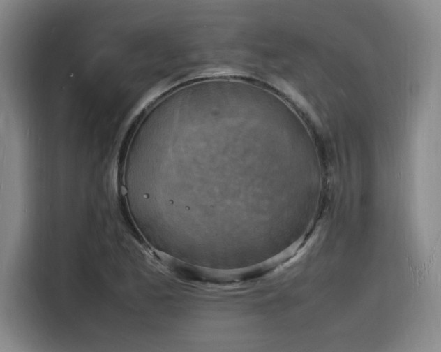 X0000116141173200911231305