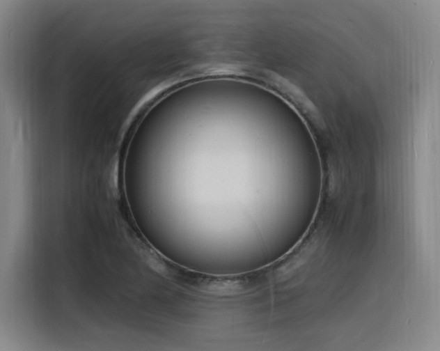 X0000116141174200911231305