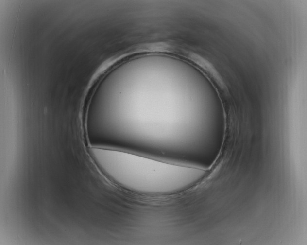 X0000116141176200911231305