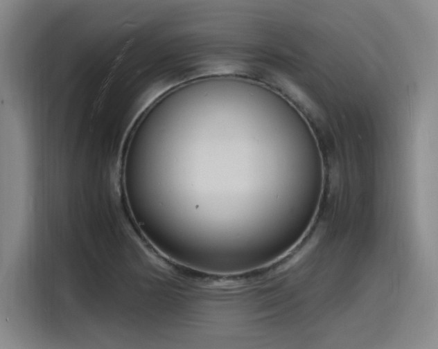 X0000116141178200911231305