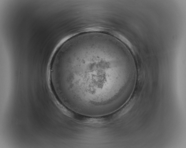 X0000116141179200911231305