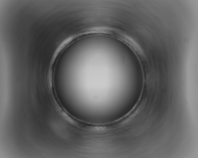 X0000116141180200911231305