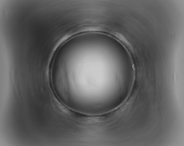 X0000116141181200911231305