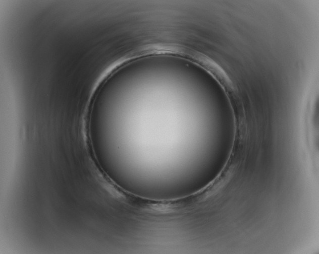 X0000116141182200911231305