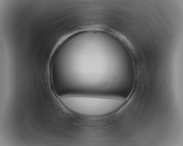 X0000116141184200911231305
