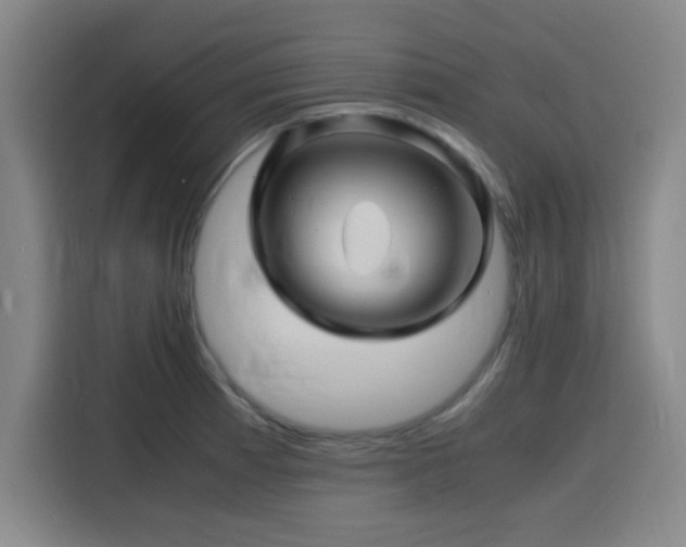 X0000116141185200911231305