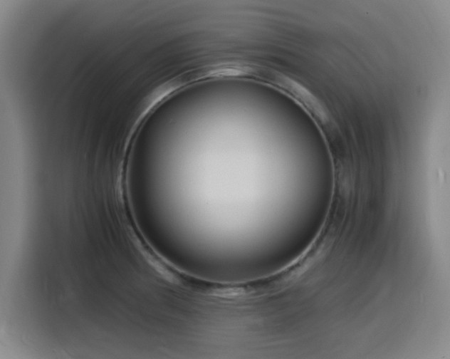 X0000116141186200911231305