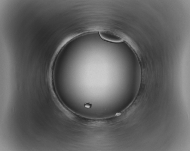 X0000116141187200911231305