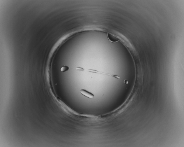 X0000116141188200911231305
