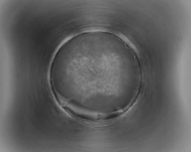 X0000116141189200911231305