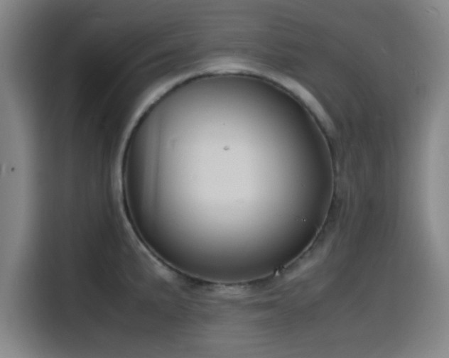 X0000116141191200911231305