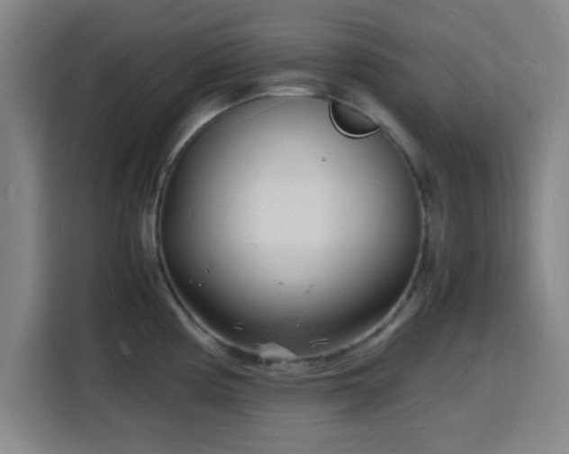 X0000116141194200911231305