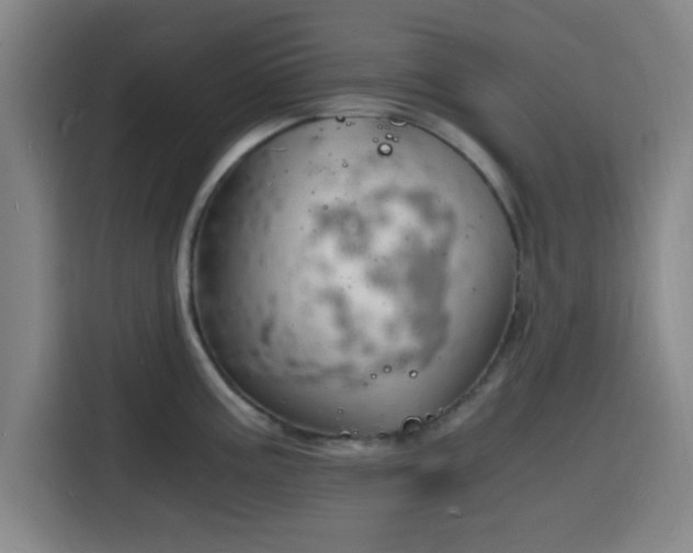 X0000116141195200911231305