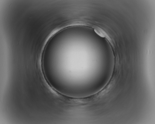 X0000116141197200911231305
